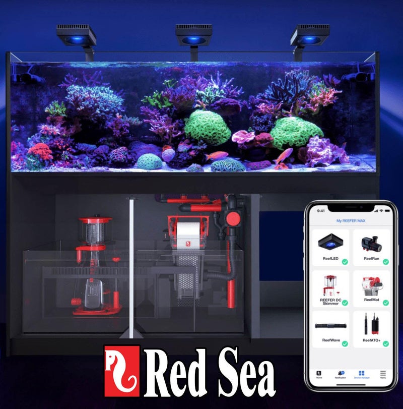 Red Sea Reef Spec Aquarium Carbon 2000 ml â€“ Superior Activated Carbon for Marine or Freshwater, Eliminates Toxins & Odors, Crystal Clear Water - Image 3